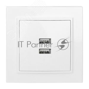 Розетка EKF ERR-2USB-100 Минск USB 2-местная СП 2,1А белая