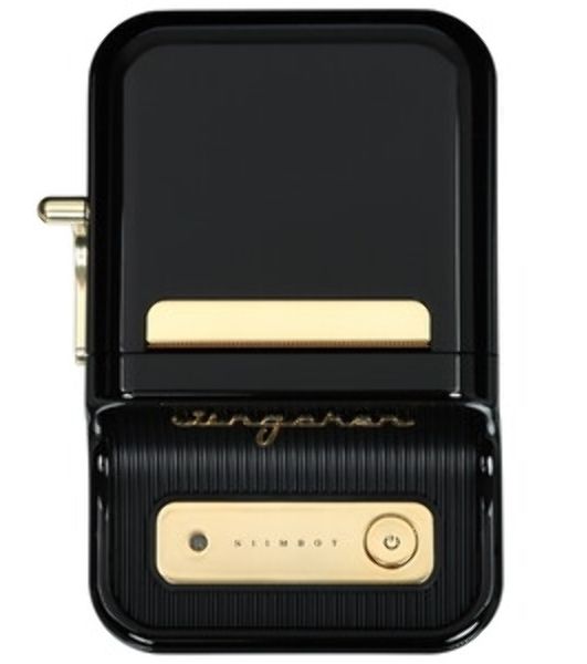 Термопринтер Niimbot B21 Pro pine green (1747186) 300dpi 60мм/с/USB/BT для печ.этик. зеленый