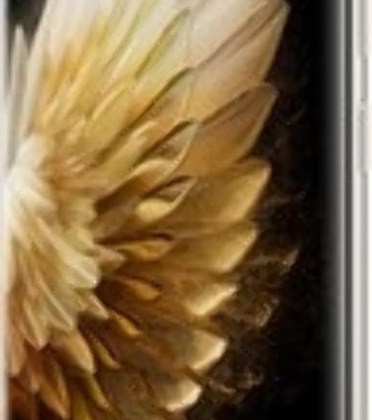 Смартфон Tecno Spark 40 Pro+ 8/256Gb черный