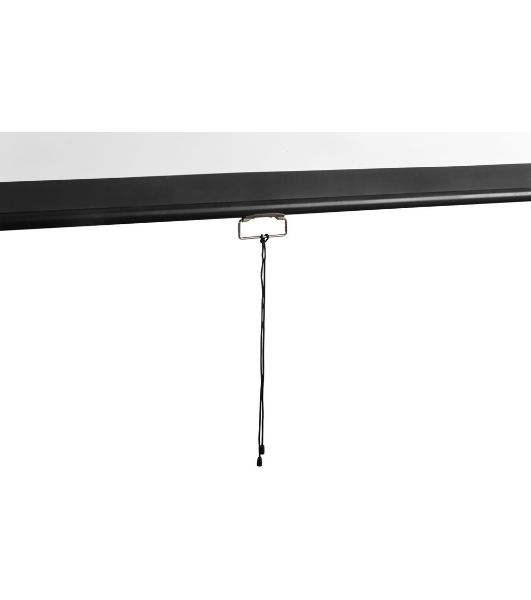 Экран 177x308см Digis Optimal-D DSOD-16907 16:9 настенно-потолочный рулонный