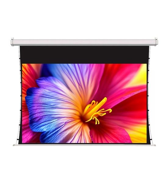 Экран для проектора S'OK SCPSMT-298x168FG-ED30  135 " 16:9 настенно-потолочный, моторизованный с боковым натяжением, белый, ED30 см