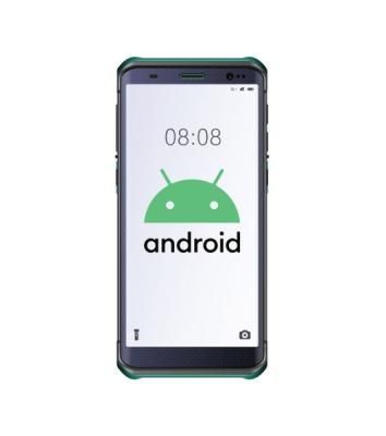 Терминал сбора данных Mindeo D60 2D Imager Mindeo ME5066, 4GB/64 GB, USB, Bluetooth, WiFi, NFC, USB Type-C, MicroSD, SIM, 3G, 4G, 5.93 " 1280x720