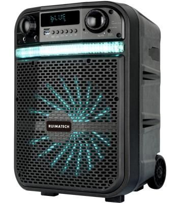 Акустическая система RUIMATECH VA-8610