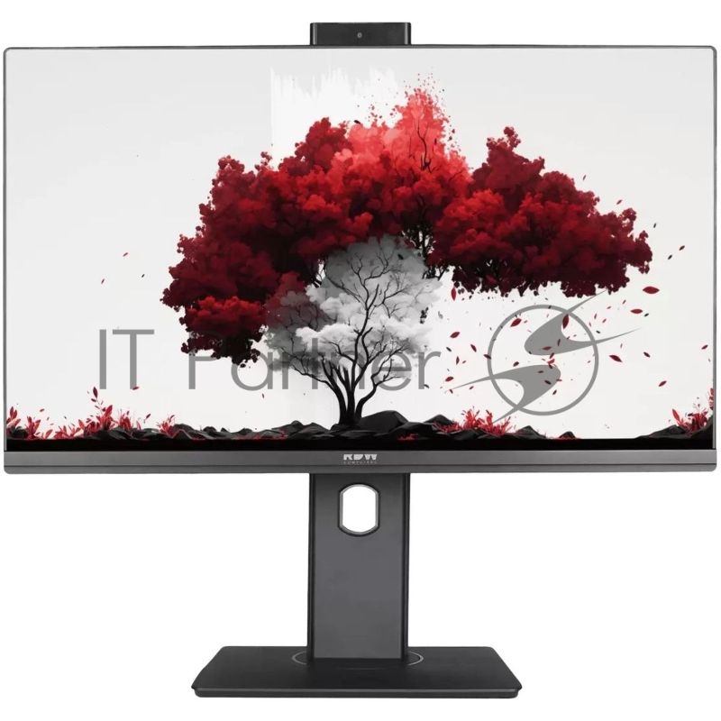Монитор 23.8" RDW 2402K IPS 1920x1080, 240 Гц, 5 мс, 16:9, 400 кд/м², 1xHDMI, 1xDP, 1xVGA, веб-камера 3 МП, динамики, черный