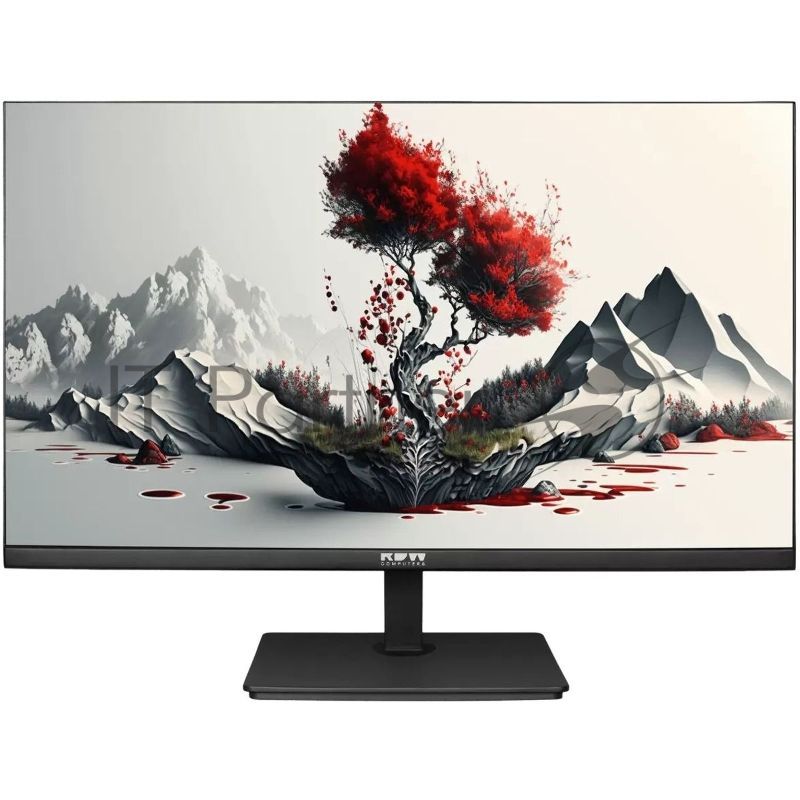 Монитор 23.8" RDW Computers RDW2401K IPS 1920x1080, 100 Гц, 5 мс, 16:9, 300 кд/м², 178°/178°, 1xHDMI, 1xDP, 1xVGA, динамики, черный
