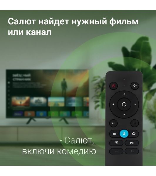Телевизор Digma 32" DM-LED32SBB36 Metal черный LED FHD 60Hz Салют ТВ