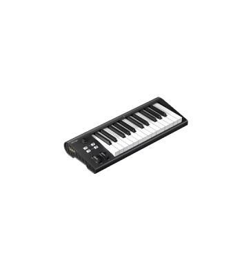 MIDI клавиатура 110105A2028 Icon Artist 25