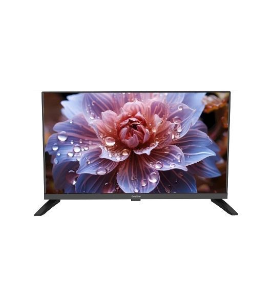 Телевизор GOLDSTAR 24" LT-24R1000 черный DLED HD 60Hz