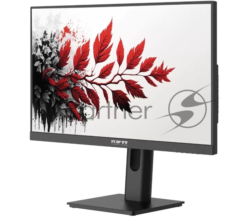 Монитор 27" RDW Computers RDW2701K IPS 2560x1440, 100 Гц, 1 мс, 16:9, 350 кд/м², HDMI 2.0, DP 1.4, USB-C (65 Вт), USB Hub (4x USB 3.0), 3.5 Jack, динамики (2x2 Вт), черный