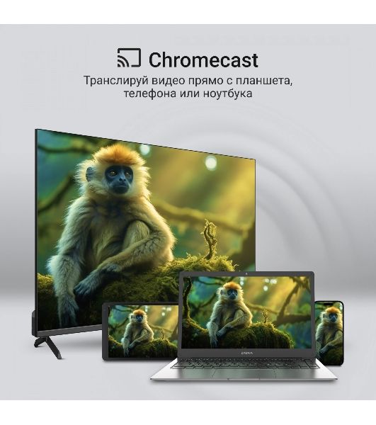 Телевизор Digma 65" DM-LED65UQB31 черный QLED 4K UHD 60Hz Google TV