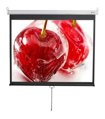 Экран 180x240см Digis Optimal-D DSOD-4304 1:1 настенно-потолочный рулонный