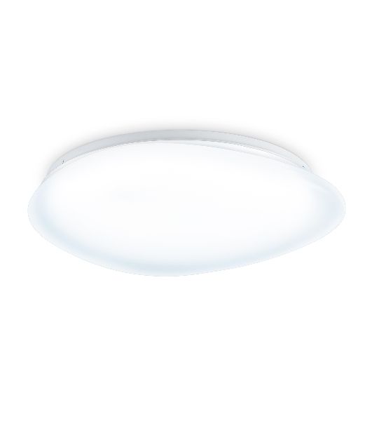 Потолочный светодиодный светильник Ambrella light FZ1605 FR матовый IP20 60W 5000K 510*100 (Без ПДУ)
