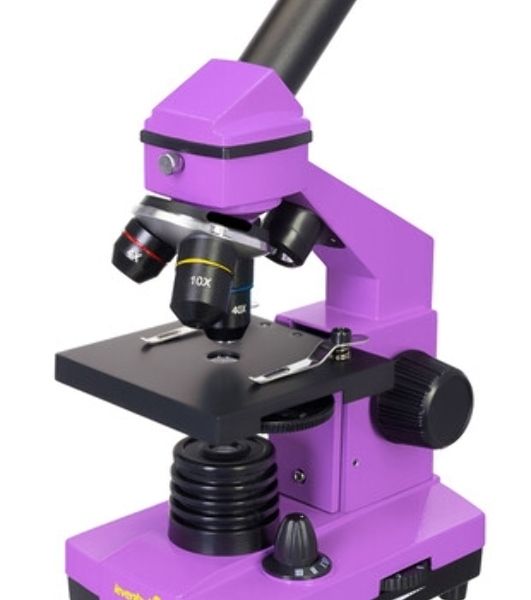 Микроскоп Levenhuk RAINBOW 2L AMETHYST/Аметист Микроскоп с предметным столиком, трехгнездным револьвером, фокусировочным механизмом, двумя источниками света с регулировкой яркости Монокулярная насадка Объективы: 4х, 10х, 40х, Увеличение микроскопа: 64-640