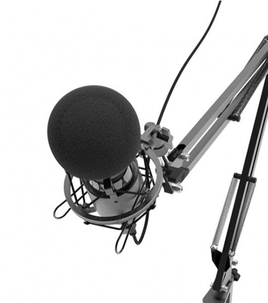 Микрофон Ritmix RDM-180 черный