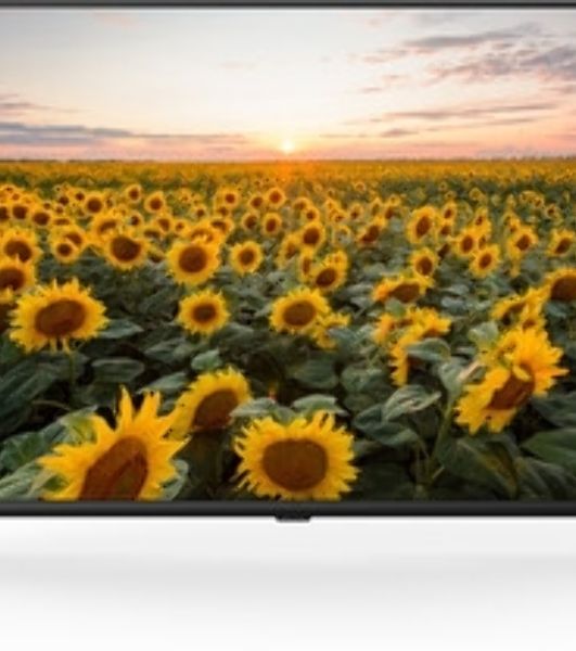 Телевизор Starwind 40" SW-LED40BG200 черный LED FHD 60Hz