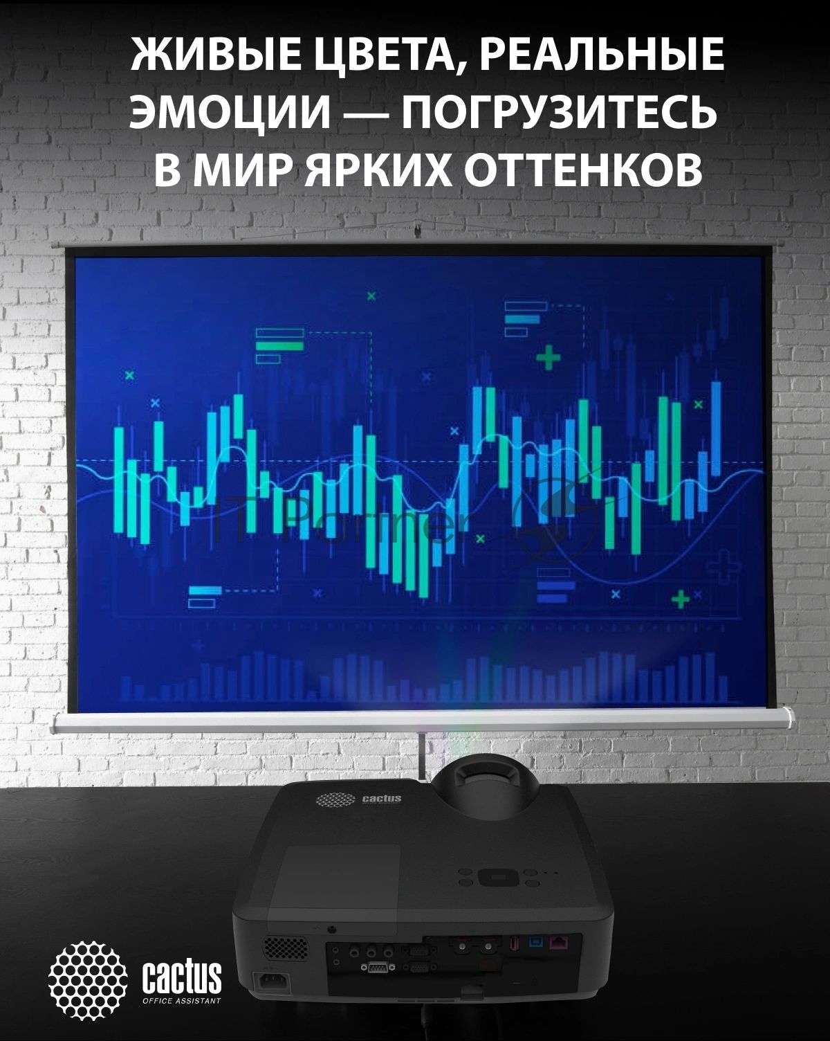 Проектор Cactus Bright CS-V2.B 3LCD 4400Lm ANSI (1024x768) 30000:1 ресурс лампы:10000часов 1xUSB typeA 1xUSB typeB 2xHDMI 4кг