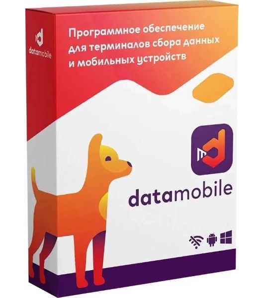 Программное обеспечение Неискл. право на исп-ие DataMobile версия Стандарт LifeTime (DM)