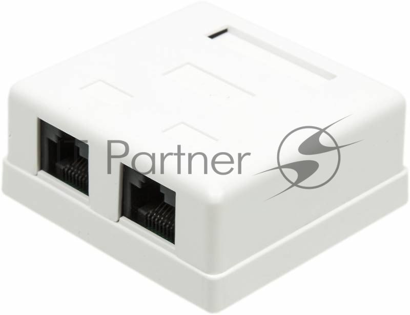 Розетка TWT (TWT-SM2-4545-WH) настенная 2 порта RJ-45 категории 5е. UTP. белая