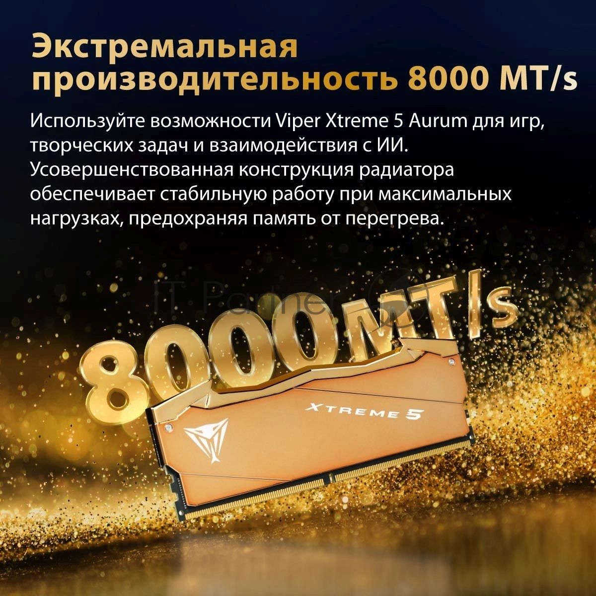 Оперативная память Patriot Viper Xtreme 5 Aurum, DDR5, 32GB (2x16GB), 8000 MHz, CL38, с радиатором, золотистый