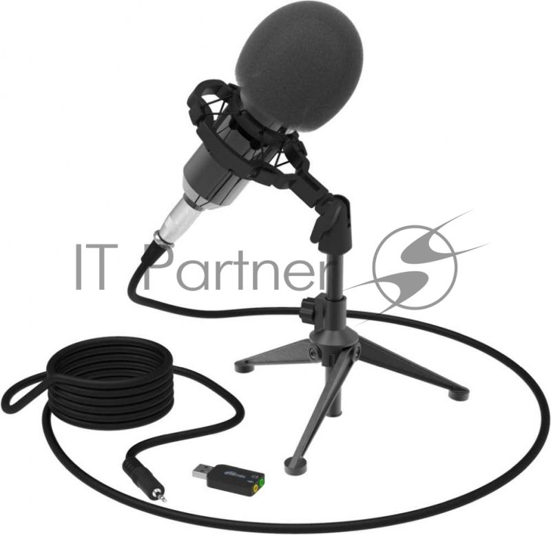 Микрофон RITMIX RDM-160 черный