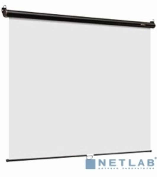 Экран 180x180см Digis Optimal-C DSOC-1102 1:1 настенно-потолочный рулонный