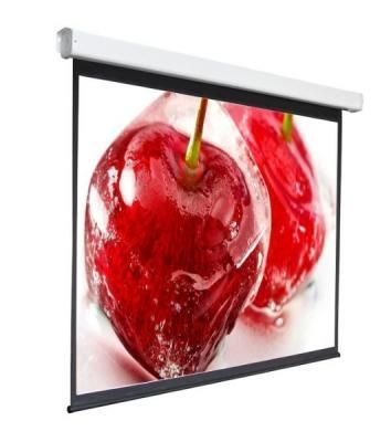 Экран 240x240см Digis Electra-F DSEF-1108 1:1 настенно-потолочный рулонный (моторизованный привод)