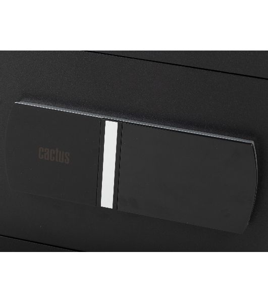 Сейф мебельный Cactus CS-SF-T25 250x350x300мм электронный