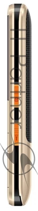 Мобильный телефон BQ 2006 Comfort золотой/черный
