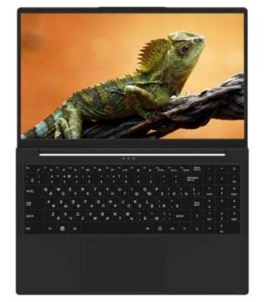 Ноутбук Rikor Pro 3 15 OH-03/15.6"/Intel Core i3-1220P/16Gb/512Gb SSD/Intel Iris Xe Graphics/Windows 11 Professional/черный/1.65kg