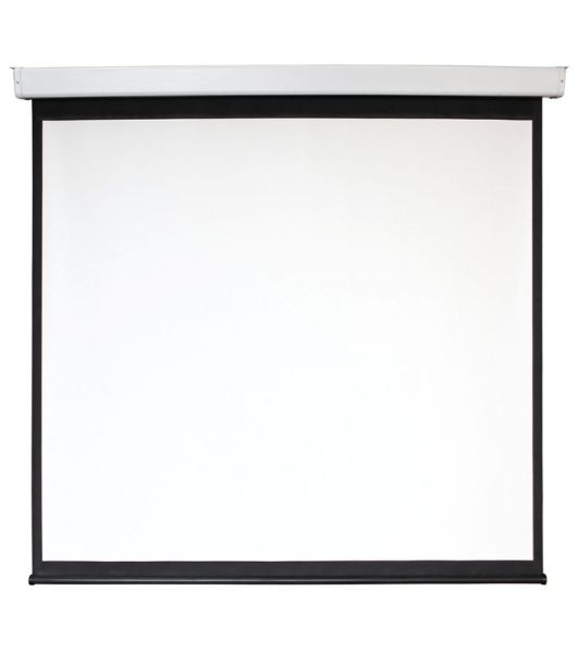 Экран 159x159см Digis Electra-F DSEF-1103 1:1 настенно-потолочный рулонный (моторизованный привод)