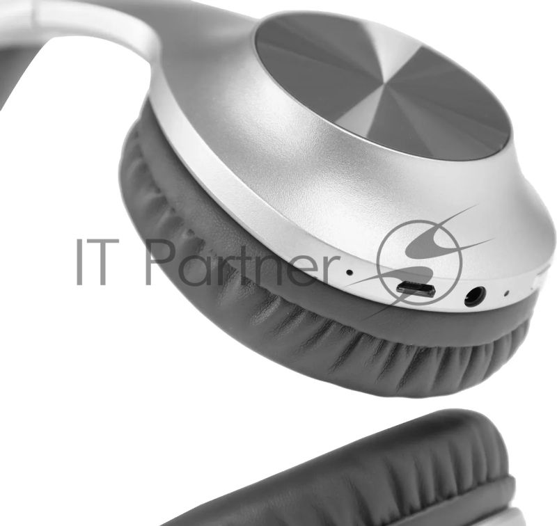 Наушники Panasonic RB-HX220BEES серебристый Полноразмерные Bluetooth наушники с усиленным басом
