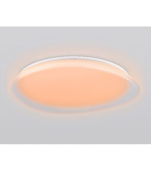 Светодиодный светильник Ambrella light FZ1615 FR матовый IP20 60W 3000-6500K+RGB 510*100 (ПДУ ИК)