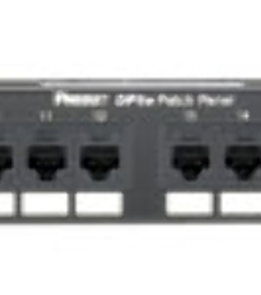 Патч-панель Panduit DP245E88TGY 19" 1U 24xRJ45 кат.5e