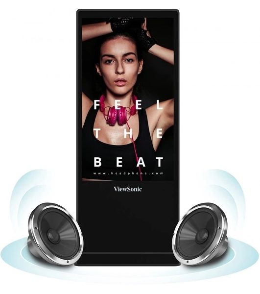 Панель ViewSonic EP5542T