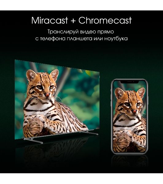 Телевизор Digma 55" Pro 55M черный/серебристый OLED 4K UHD 120Hz Google TV