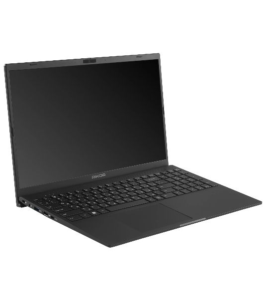 Ноутбук 15.6" IPS FHD RIKOR SPB 302.1 черный (Ryzen 5 6600H/16Gb/512Gb SSD/VGA int/W11Pro) (D3DAD45C)
