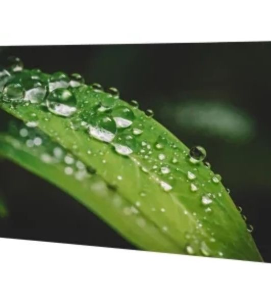 Профессиональный дисплей для видеостен Dahua DHI-LS550UDH-UG 1920x1080, 700 кд/м², 8 мс, 55", 1000:1