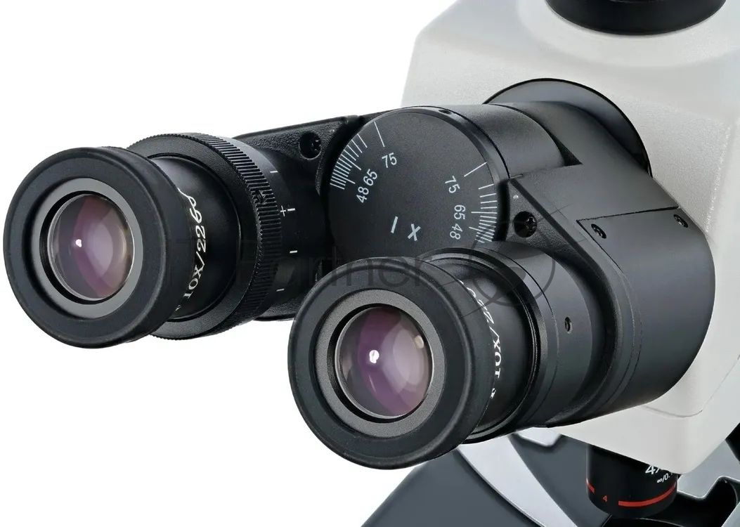 Микроскоп Levenhuk MED 45T тринокуляр 401000x на 5 объективов