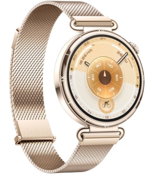 Умные часы HUAWEI Watch GT 6 KSU-B19, 1.32" AMOLED, 4G, Wi‑Fi, Bluetooth, NFC, 5 ATM/IP69, золотой