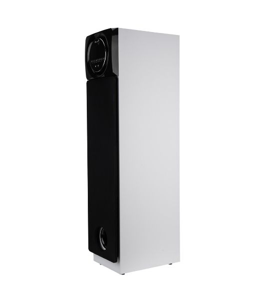 Акустическая система ELTRONIC (30-58) HOME SOUND - колонка 10", белый