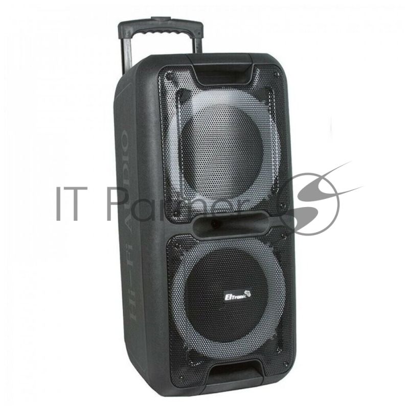 Колонка Eltronic 12" динамик 2шт/12" с TWS черный