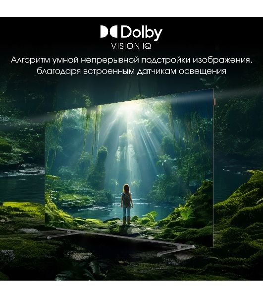 Телевизор Digma 65" Pro 65M черный/серебристый OLED UHD 120Hz Google TV