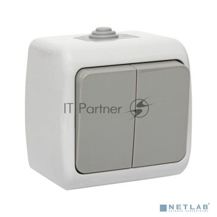 Выключатель 2-клавишный 10А IP54 серый EKF Мурманск