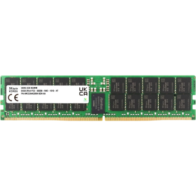 Оперативная память Hynix, DDR5, 64GB (1x64GB), 5600 MHz, CL46, RDIMM