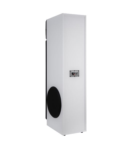 Акустическая система ELTRONIC (30-58) HOME SOUND - колонка 10", белый